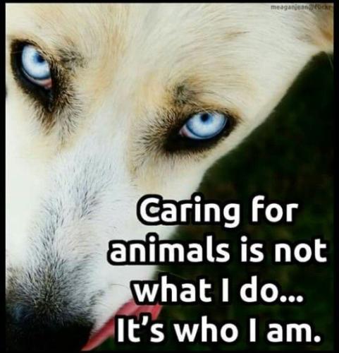 44732e8785b1ec47e48db40bbbc56a67