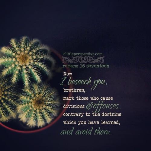 rom-16-17-KJV-pexelsSP