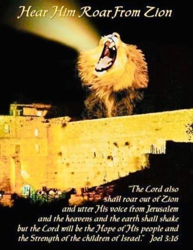 fe4106d2-d76c-4c06-be8c-67e94ddb7d2d