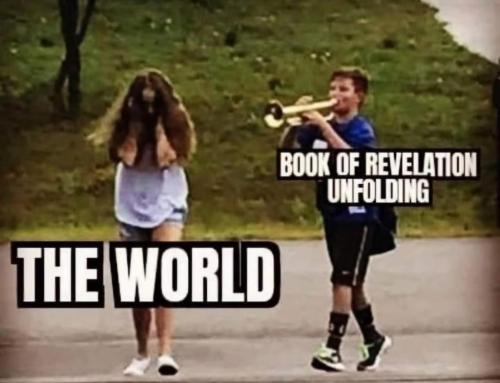 c173a9aa-6d95-4275-921e-77fd09bd6137