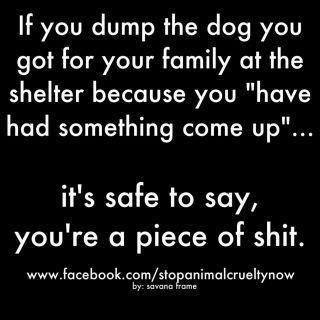 ffbcd92953866321530b7451e536d529