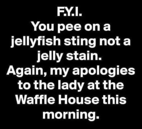 FB_IMG_1720031770403