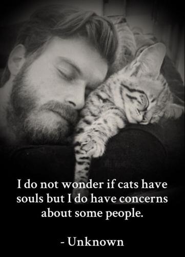 266aab3ad52beb0caf648d9dc7055362