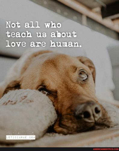 4f8547471906bfebc6d27006cf15986beb0e7ca8c8026a74940dd955146caa25_1