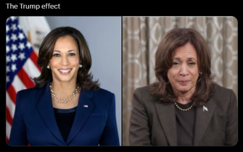 image_2024-11-27_063647254