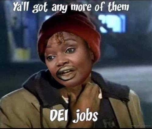 photo_2024-11-12_14-42-52