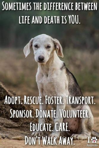 9eb9aac6e08920cf880dda2dcfdc14bf