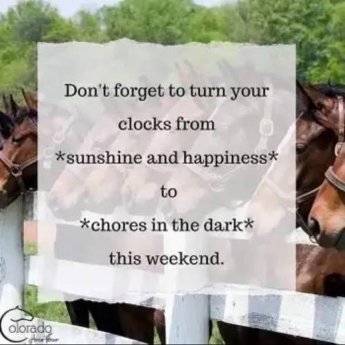 photo_2024-11-03_20-16-27