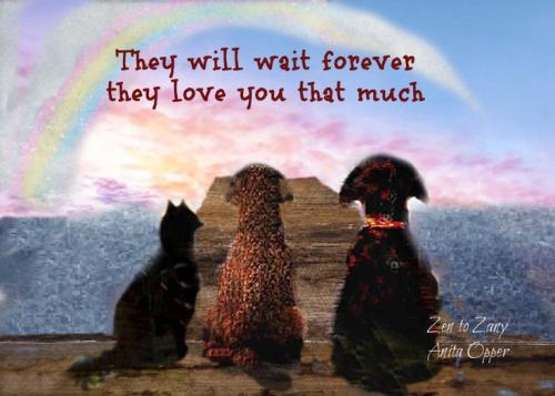 32db3940ff49595d18e0a80c50720438