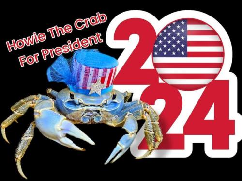 4fdb8a4e-d3dc-40fc-950f-d4f19a539461