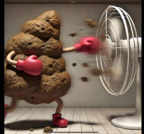 IMG_20241104_160305_904