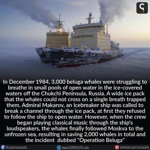 ACBBCA57-96F1-4D93-A46A-F5E629CA5867