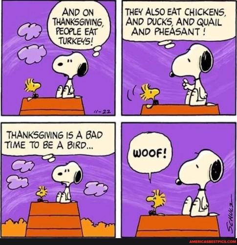 1bf86de7e3d6f66dcfd5641e284118fad07ab484858cf290259d1d473a7ede83_1