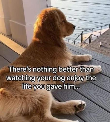 b666a75c6deed05642ae9bd9c13b14c9