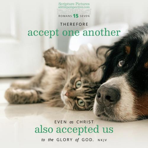 rom-15-7-NKJV-unsplash