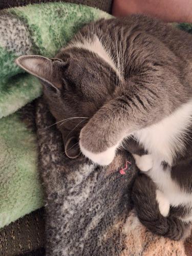 875656c7-bb5d-4a21-a790-50b75ed67217