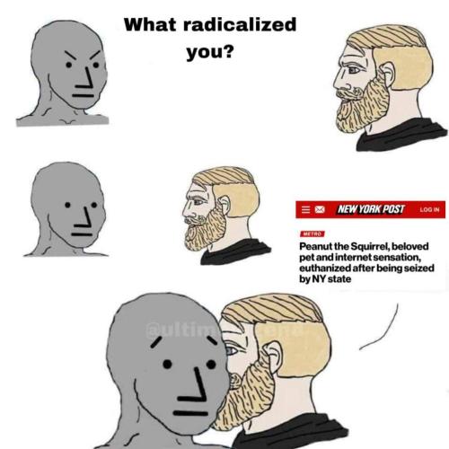 photo_2024-11-03_19-21-17