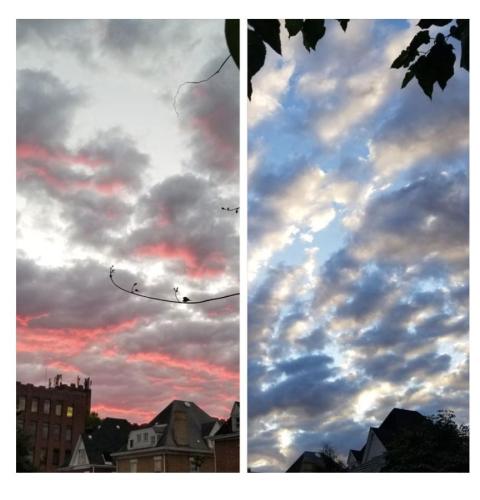 4d0f945b-f7f3-48f7-aab7-364d6290d268