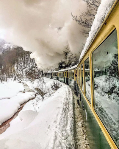 RDT_20241124_1653285896173312362333445