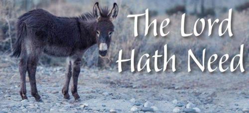 2d5532f7-ea6f-4d1a-928c-f79e62fe9ff0