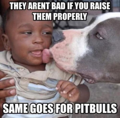 image_5A5B4B08-5842-4126-93DE-67FE2C0C6981