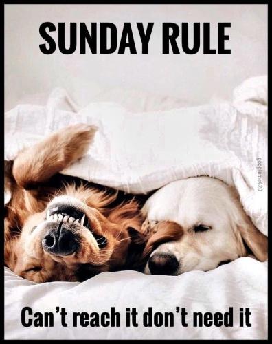 5d7addd37827a268b8ee1f9c3efe985e (1)