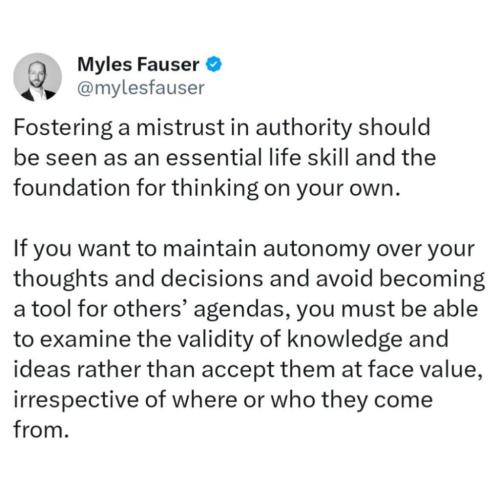 photo_2024-11-24_18-52-29