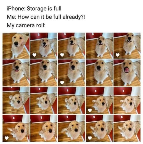 iphone-storage-is-full-can-be-full-already-my-camera-roll