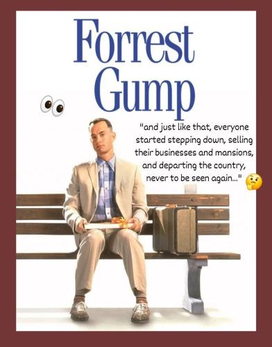 IMG_20241107_233347_652