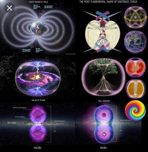 ,       ,        423193798_7468111