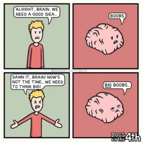 image_967B21B6-23DC-495C-BC42-6C18E22FD05A