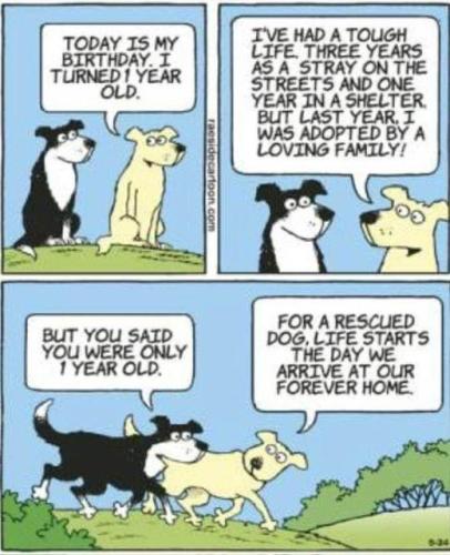 2BF435D3-745C-4031-821C-63ACCCF05442