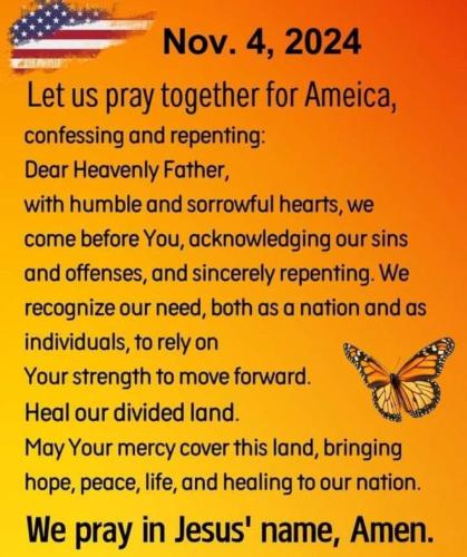 FB_IMG_1730906653047