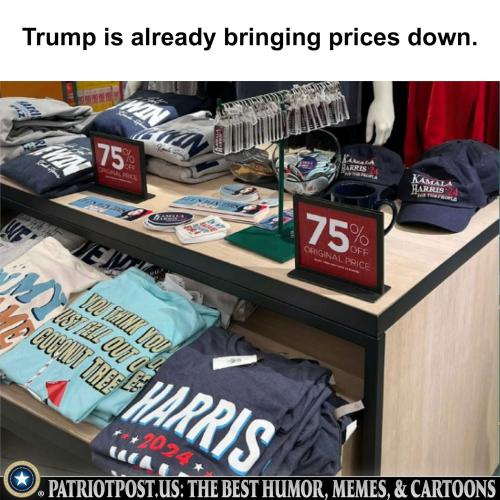 01JCZRT8D3TXZEQ106QYA6446Z