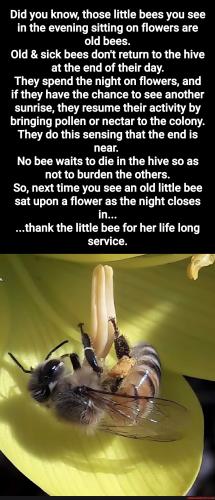 854a7290fa693f0c09fd05ef3032b2a4dadf9b6d080fcda74e9ba950946d00cc_1