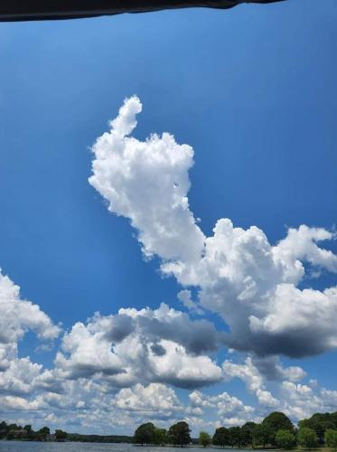 c3d083ee-02cb-47c8-92cb-b200df590d95