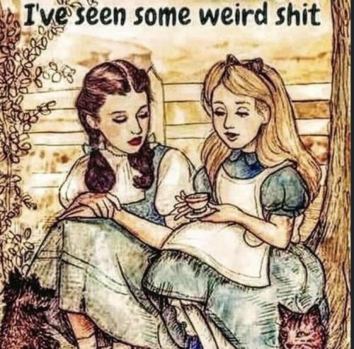 photo_2024-11-01_20-15-04