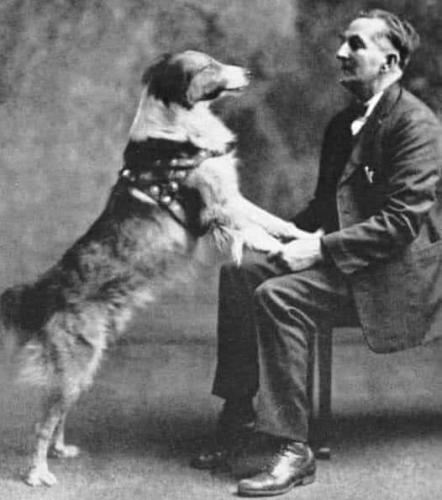 6F81D6AA-DC58-4EED-9270-3397BFA0D330