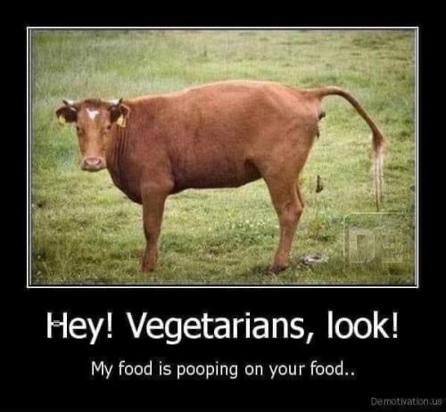 A270F73A-3C21-4151-959D-136C5068B06E