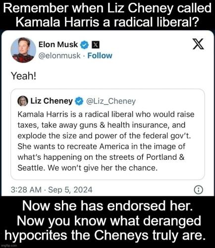 Remember when Liz Cheney called Kamala Harris a radical liberal