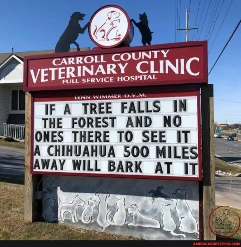 f4c0a76c44cb49dae381c7906dcc14e5a8e05c32339db6eaa01e8649af6e5d4e_1