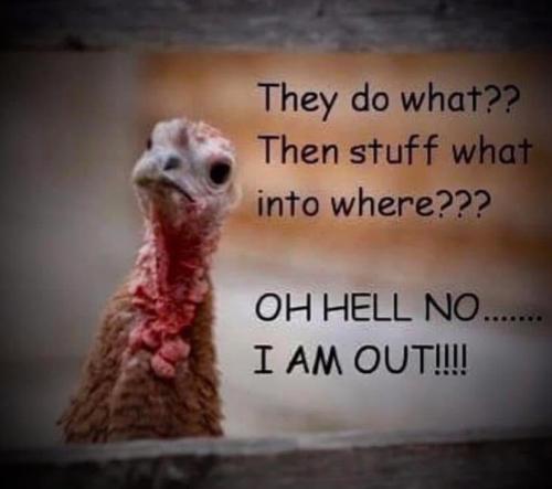 8C1D9665-57CB-4EBE-8A42-472B260763B7