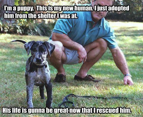 807a6b3da0c4b1ea68bb7752711e1c7c