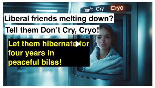 Don't Cry Cryo screenshot