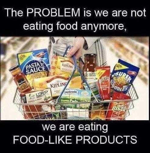 FB_IMG_1730837685577