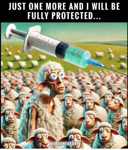 Screenshot_20241119_121539_Facebook