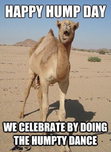 1-Hump Day!