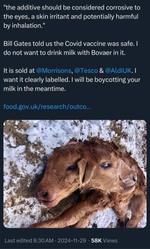 photo_2024-11-29_20-10-02