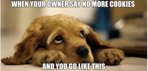 Screenshot_20241215-074700_Brave