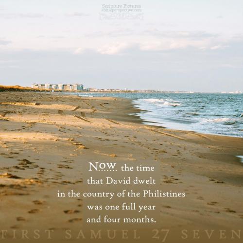 1-sam-27-7-NKJV-unsplash